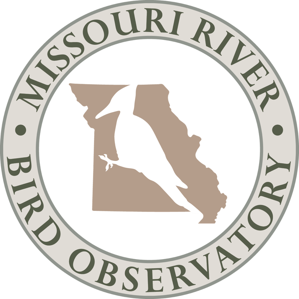 Missouri River Bird Observation